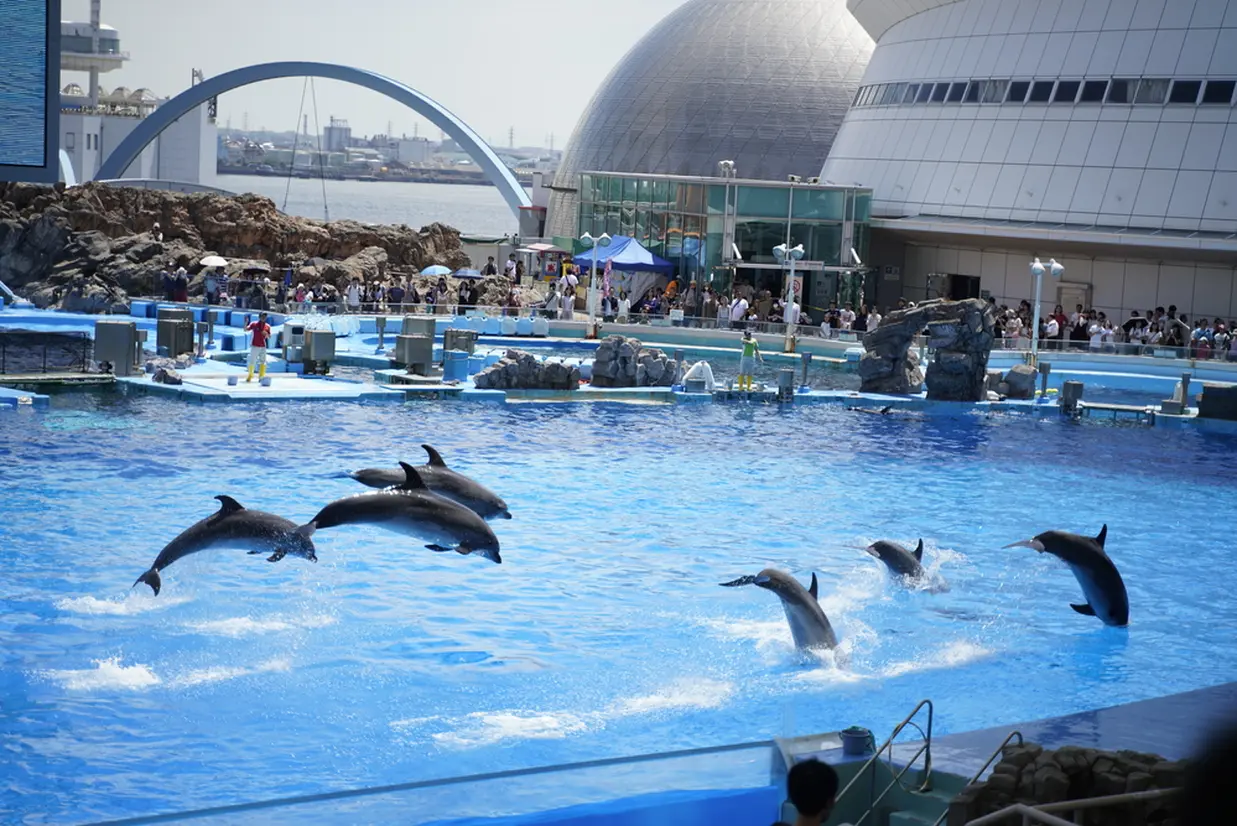 名古屋港水族館