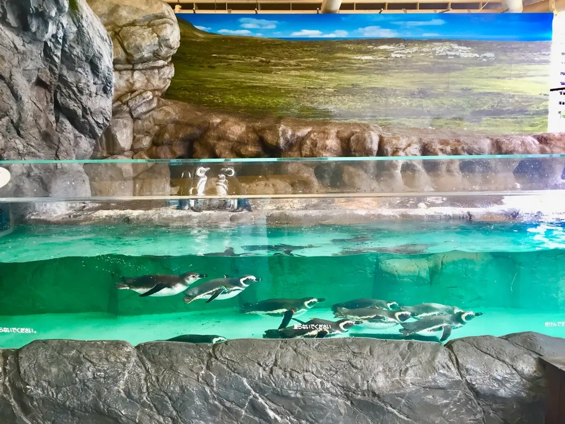 ペンギンランド