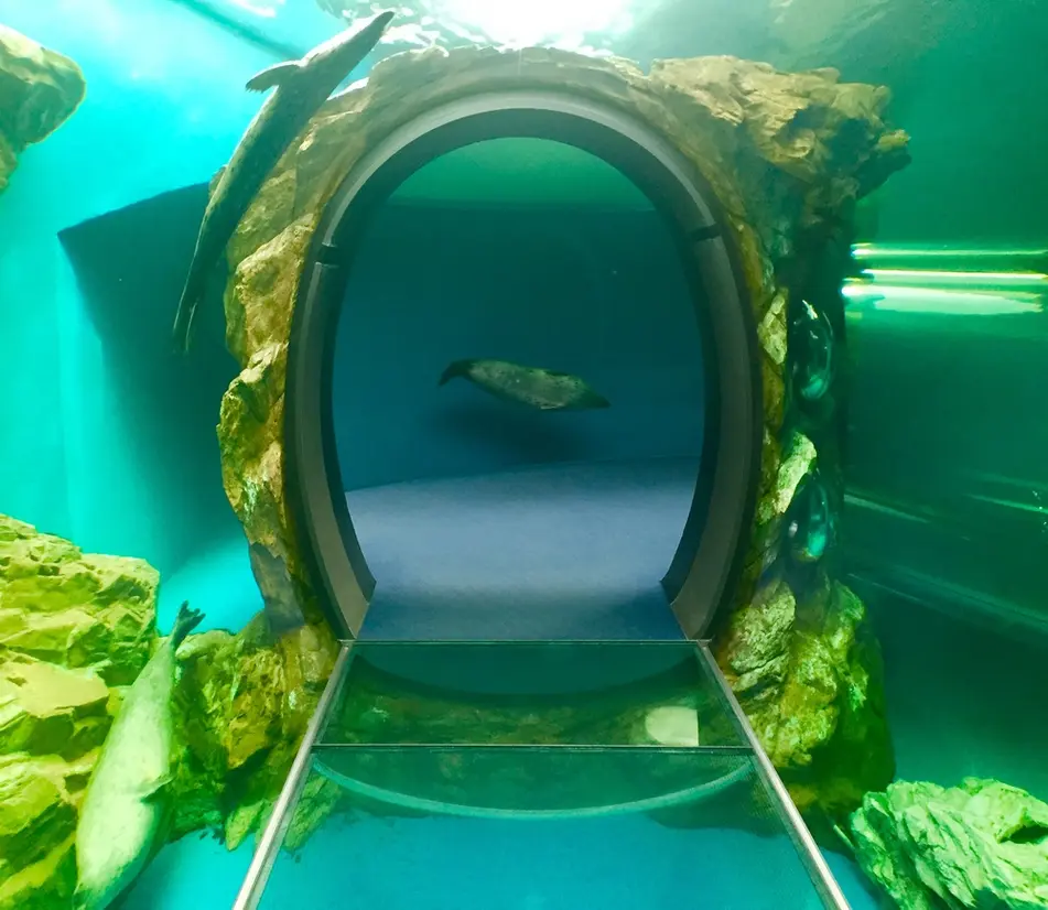 アザラシ館