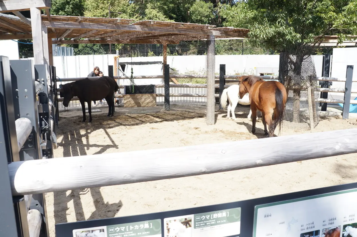 子ども動物園すてっぷ