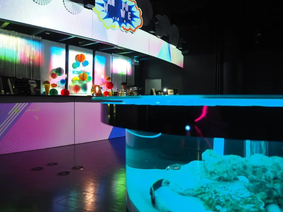 コーラルカフェバー
