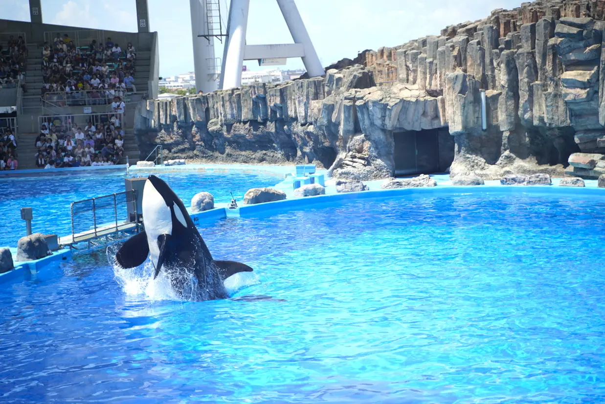 名古屋港水族館