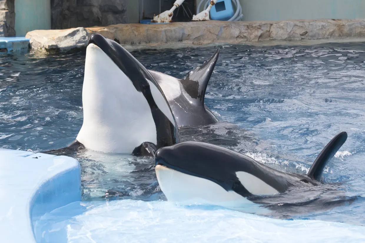 名古屋港水族館