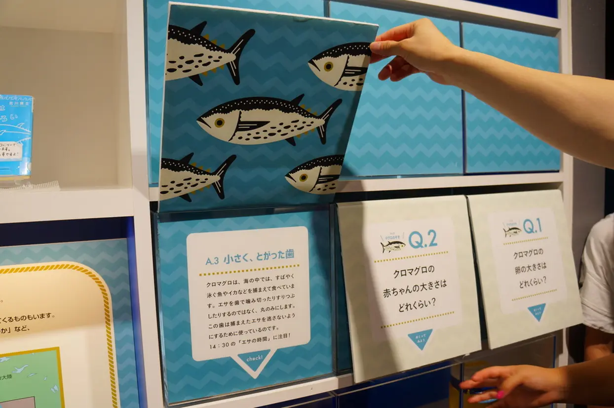 豆知識コーナーの展示