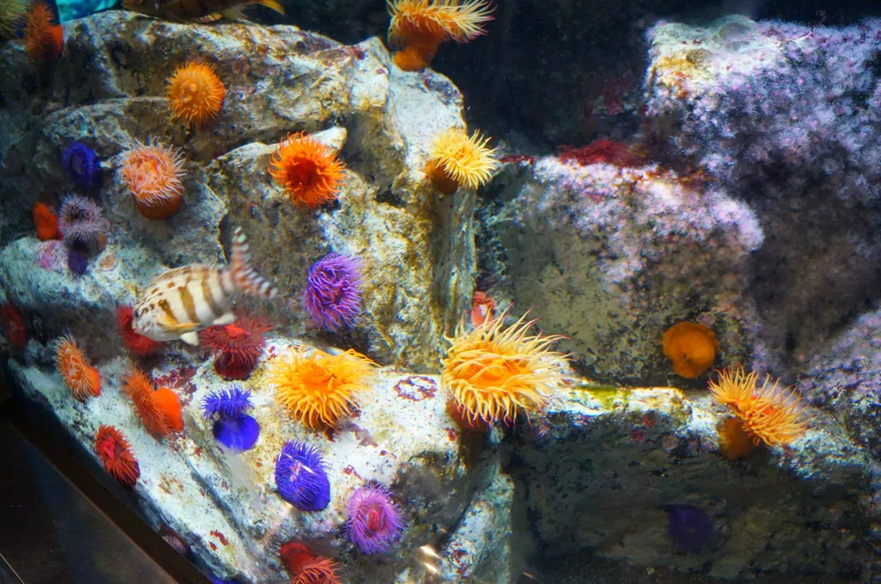世界の海