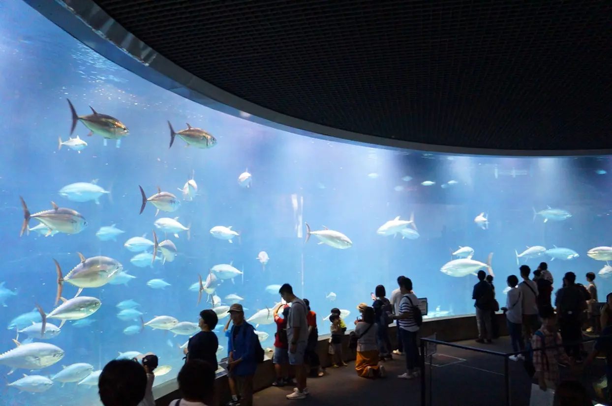 アクアシアター