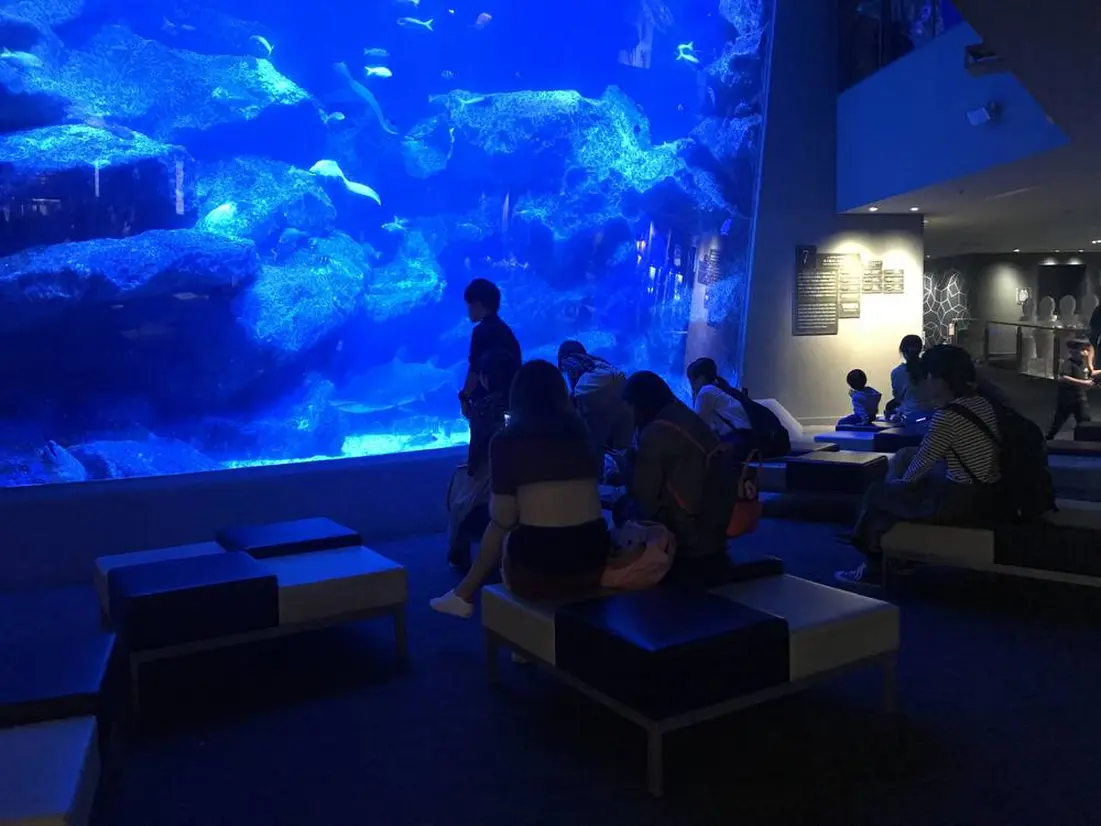 東京大水槽前のベンチ