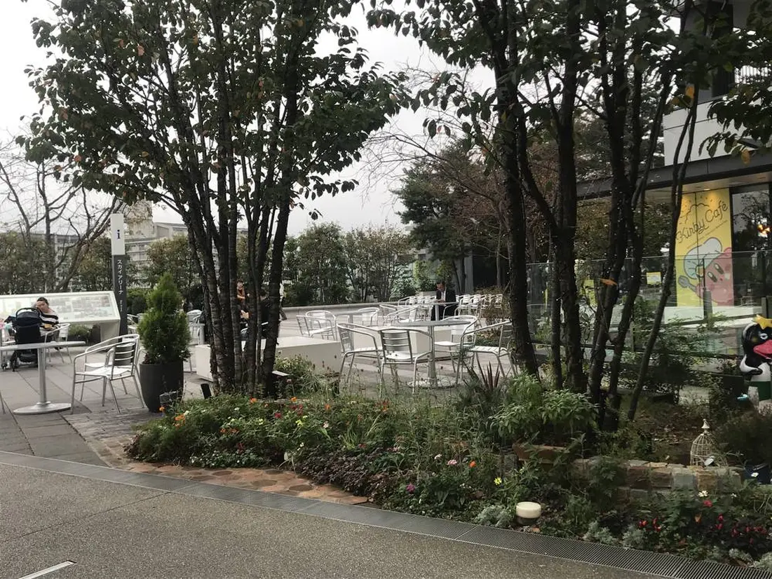 スカイアリーナ