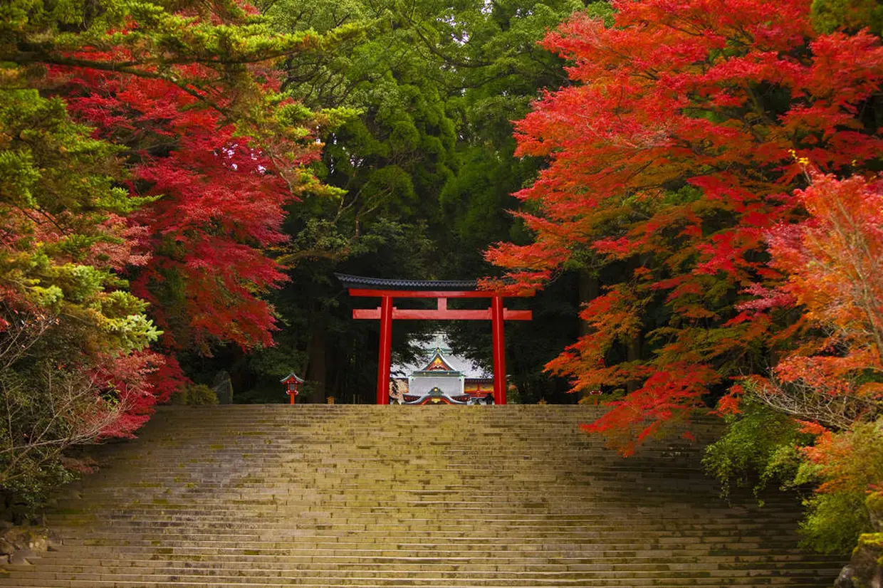 境内の紅葉