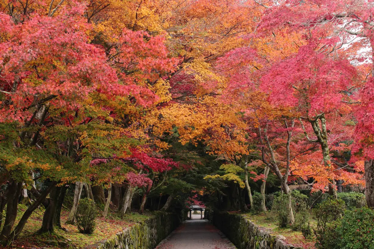 興聖寺