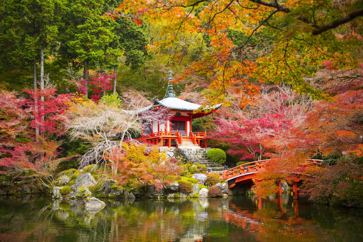 醍醐寺
