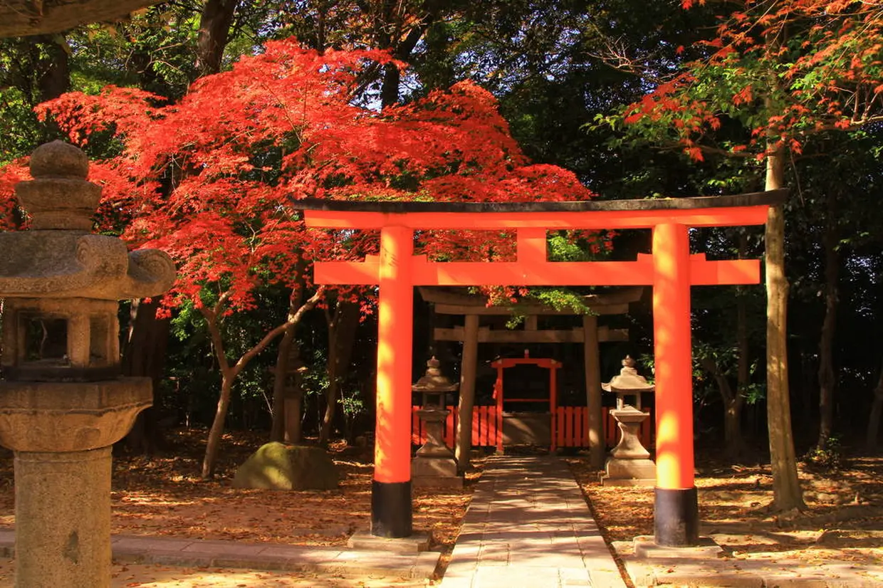 御香宮神社
