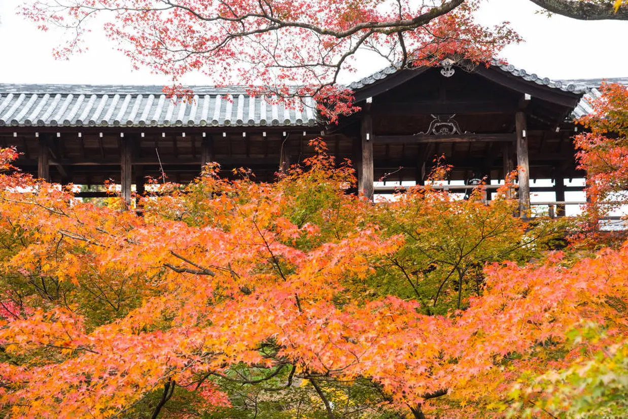 東福寺