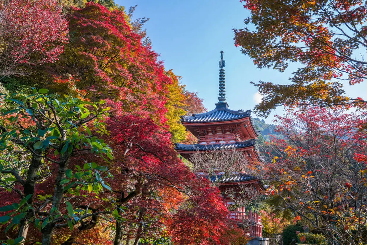 三室戸寺