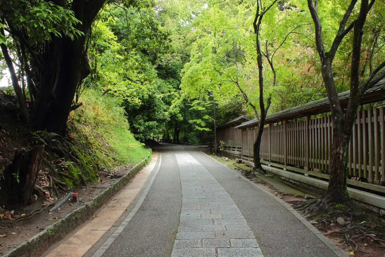 さわらびの道