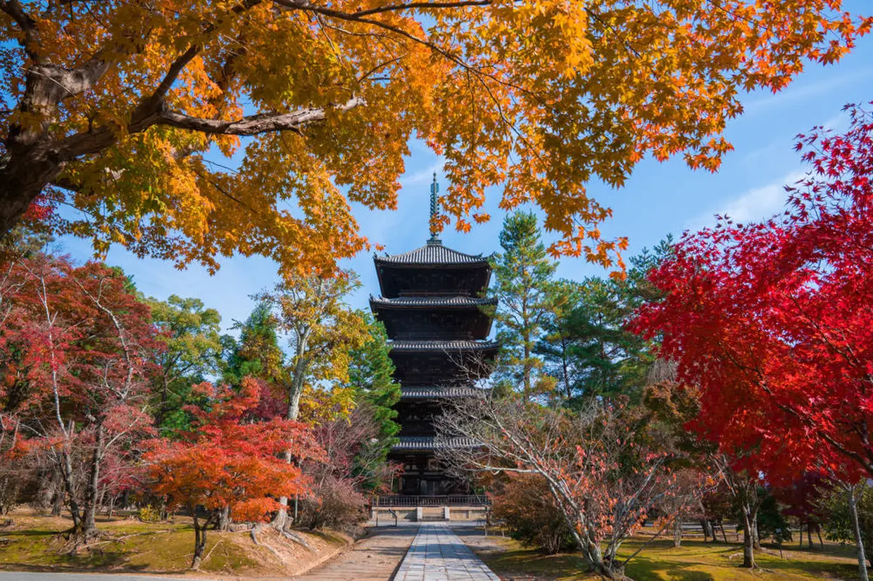 仁和寺
