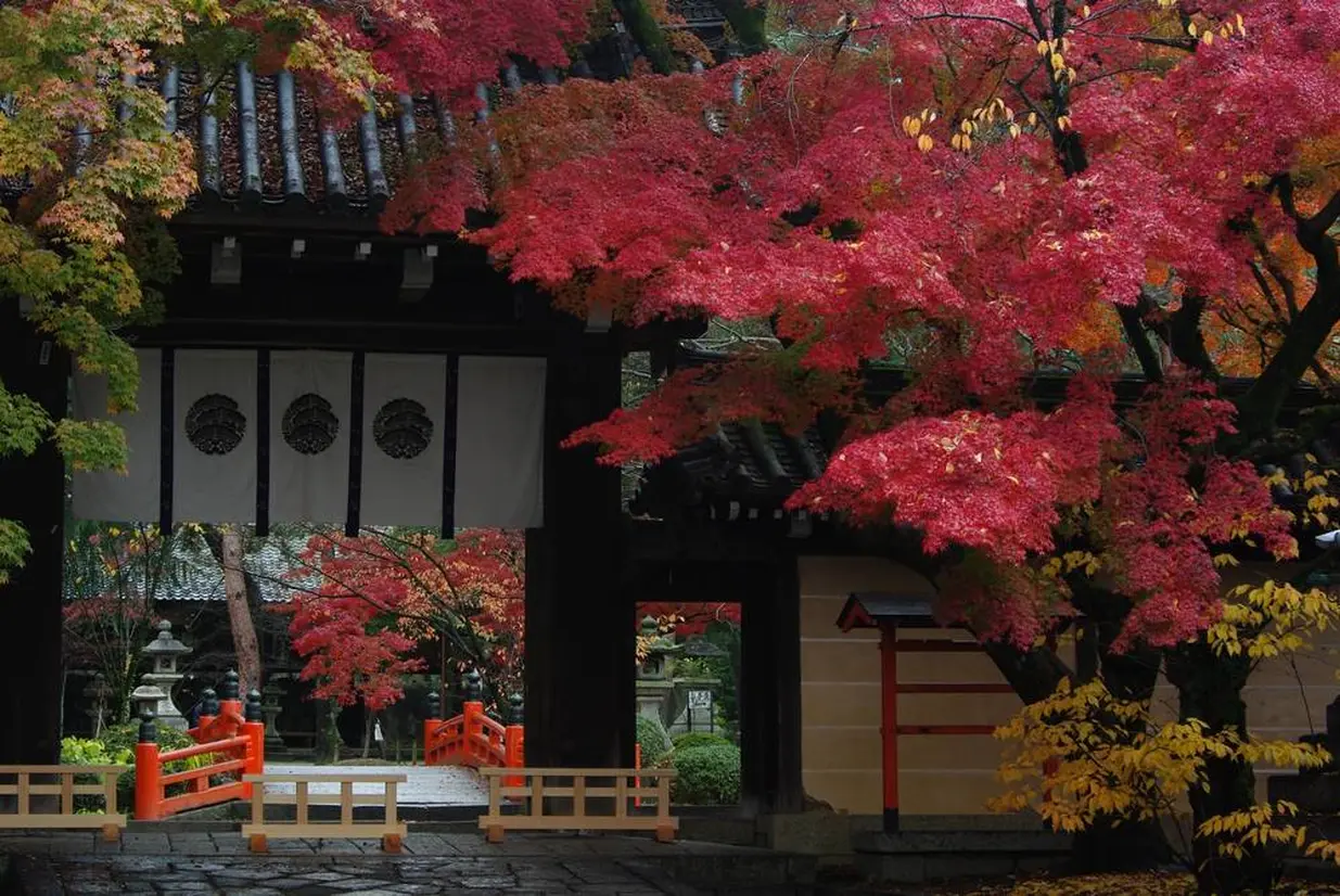 今宮神社