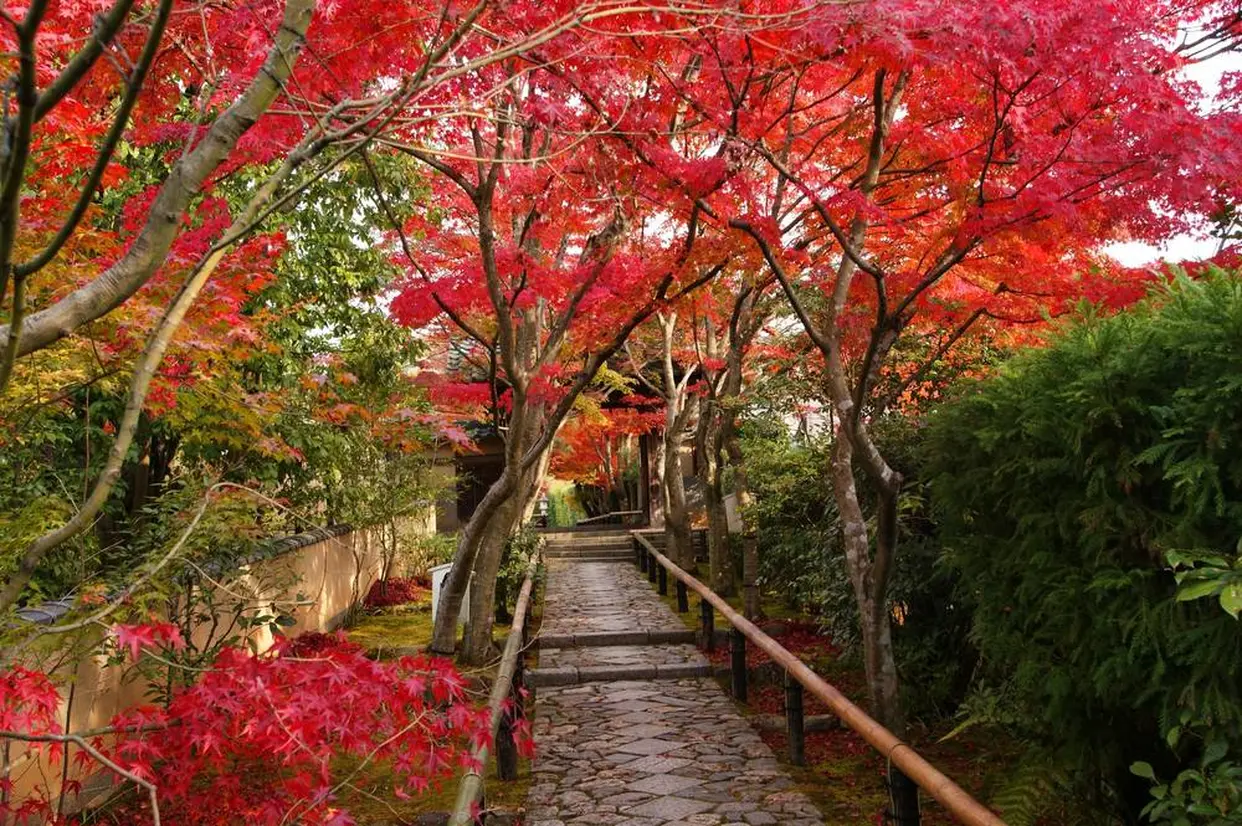 光悦寺