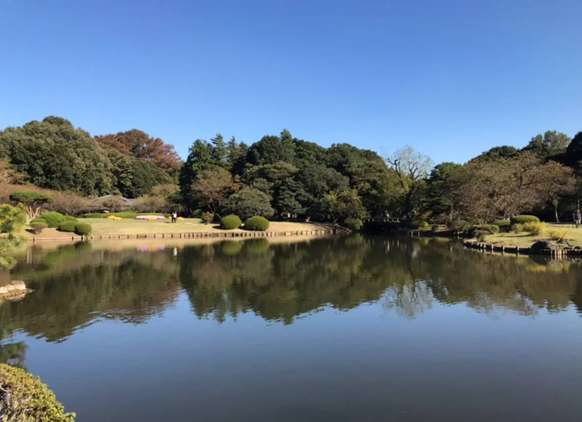 新宿御苑　上の池