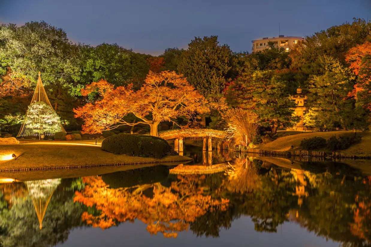 紅葉　ライトアップ