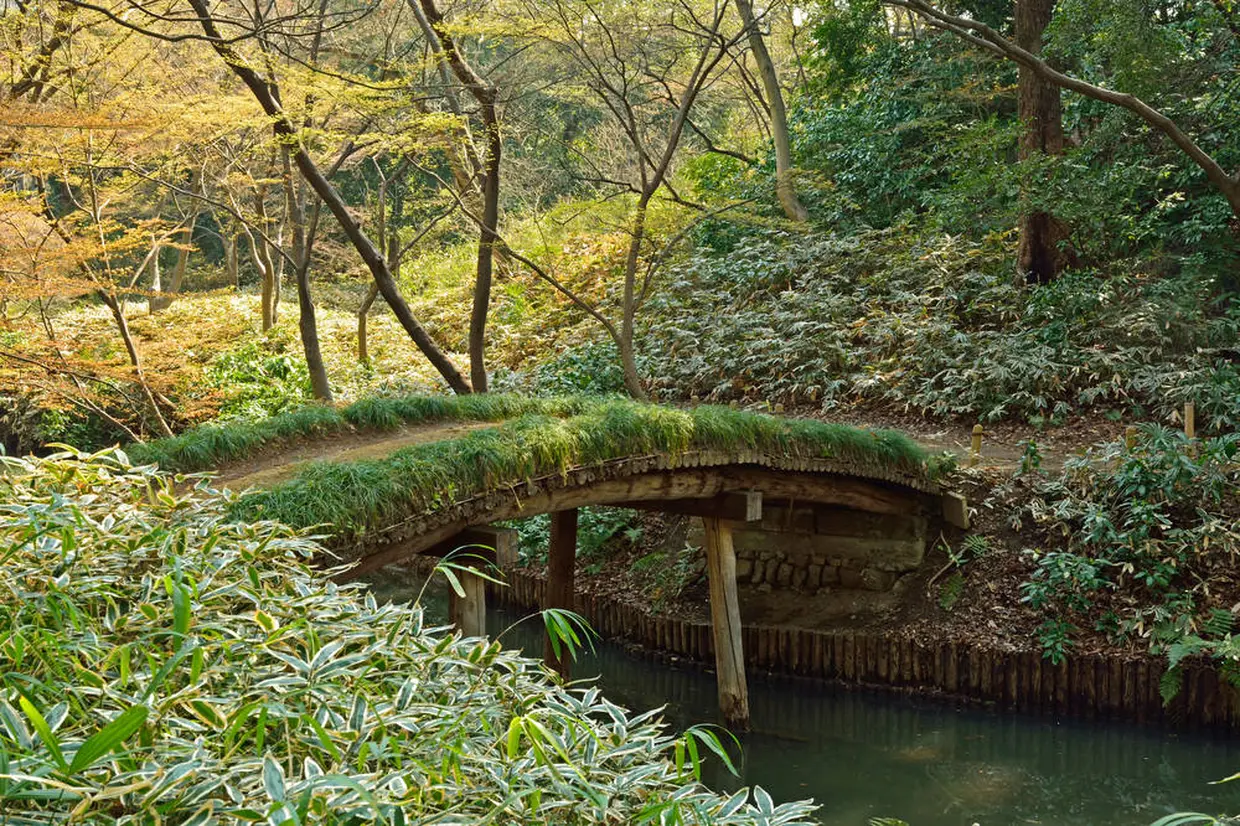 山陰橋とささかにの道