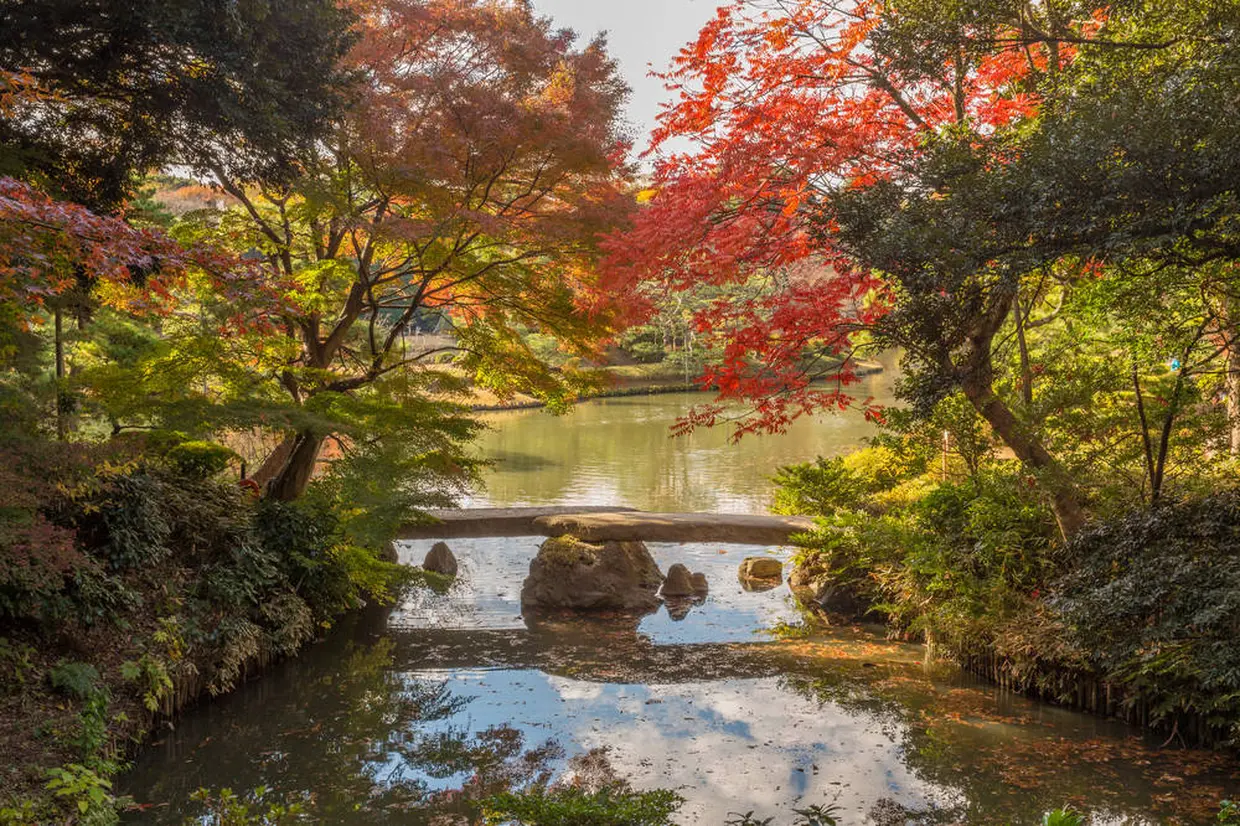 紅葉時期の渡月橋