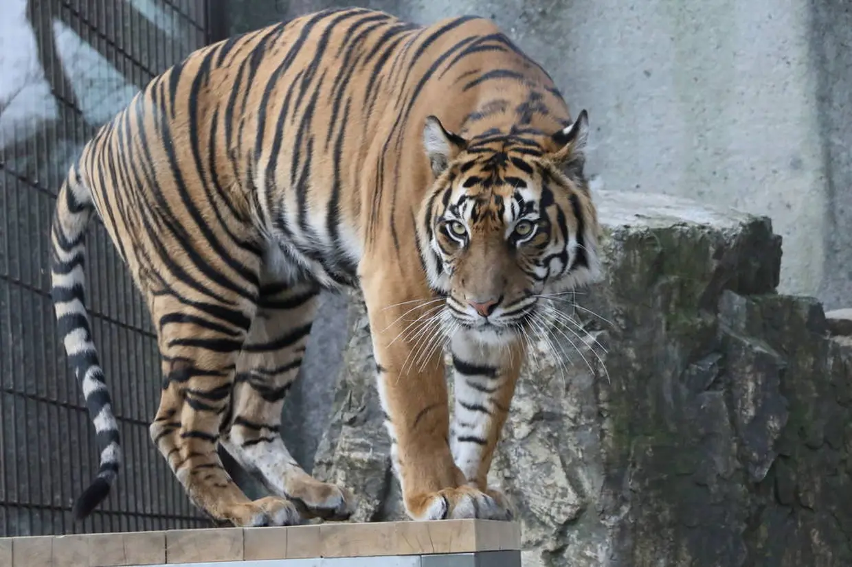 東山動植物園