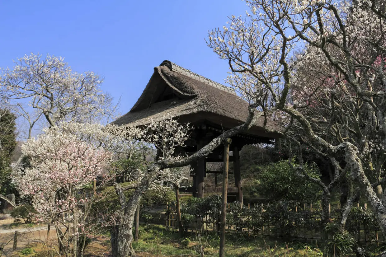 東慶寺
