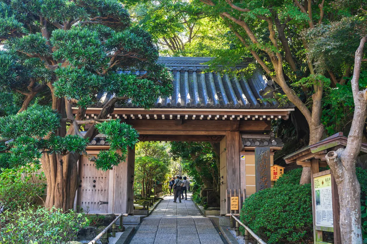 報国寺