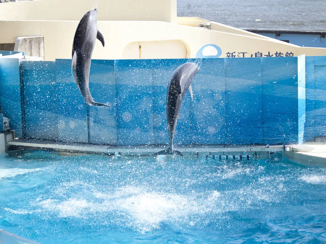 新江ノ島水族館