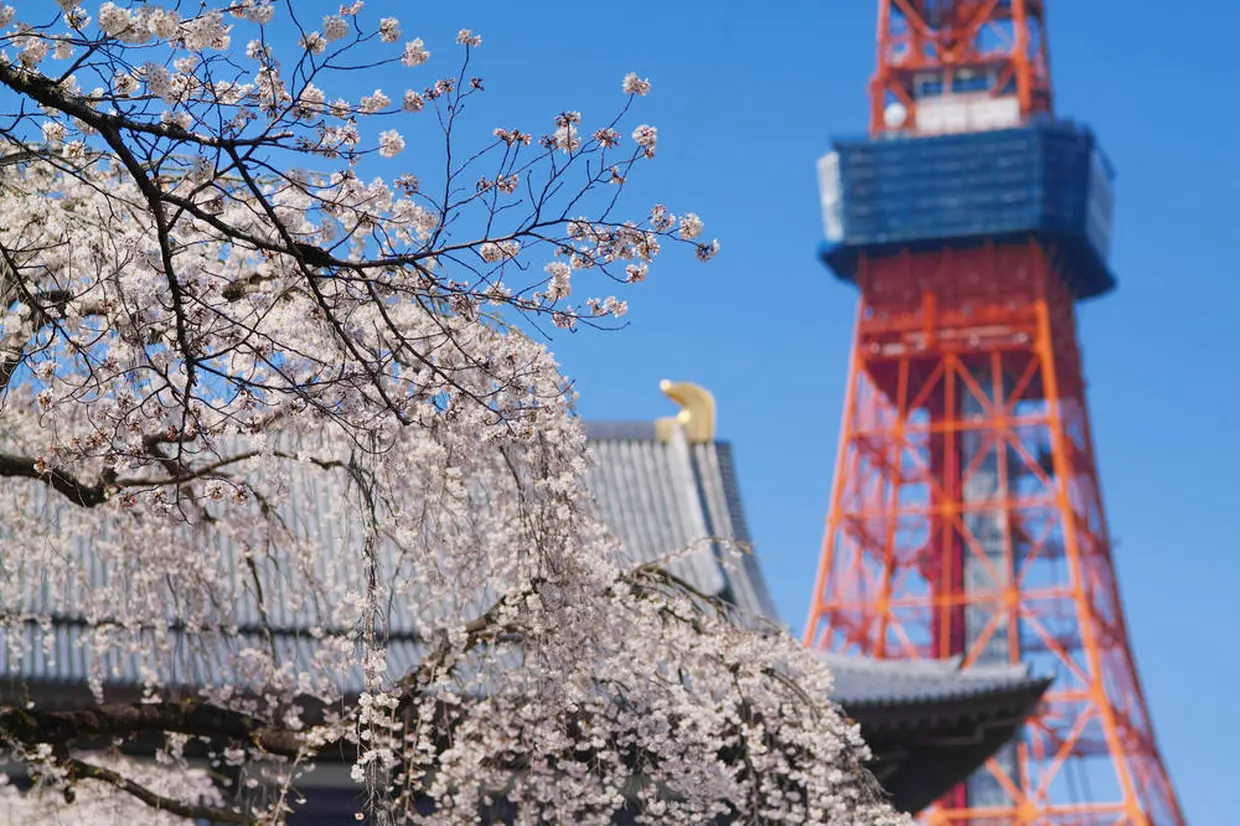 増上寺と東京タワー
