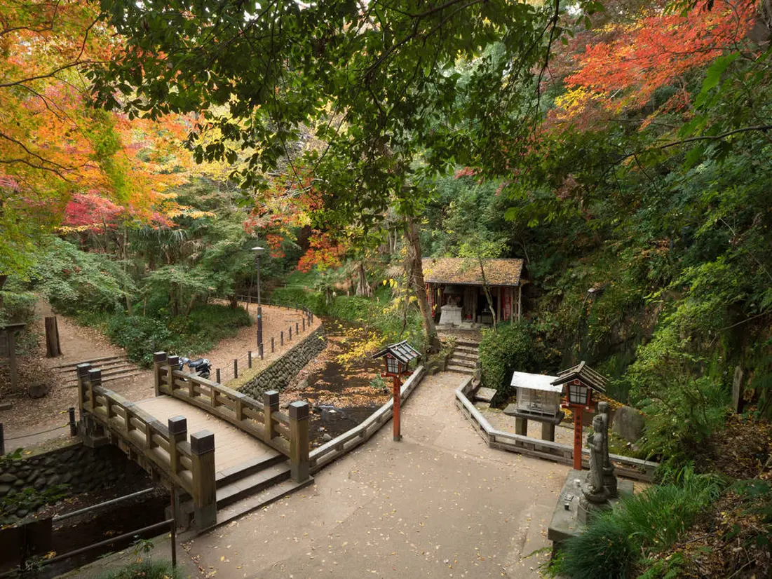 紅葉の時期の等々力渓流