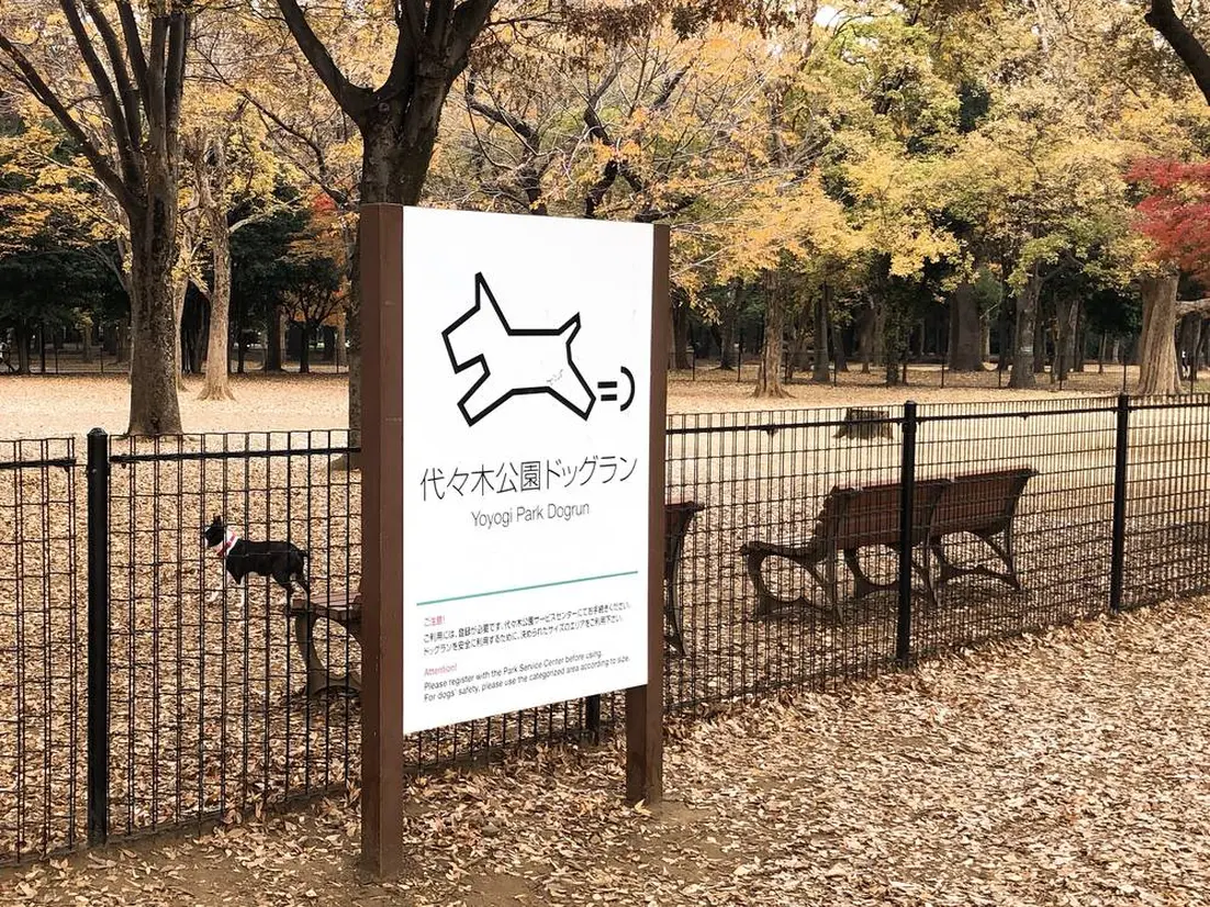 ドッグラン