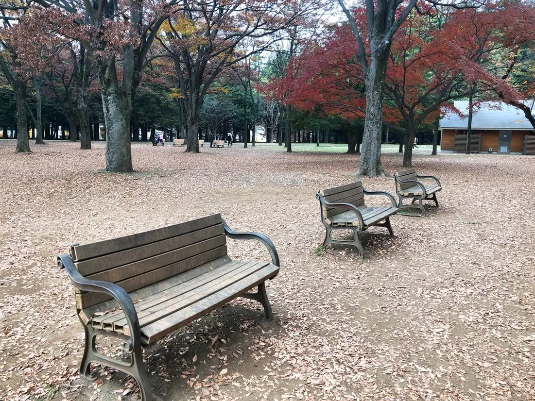 代々木公園　ベンチ