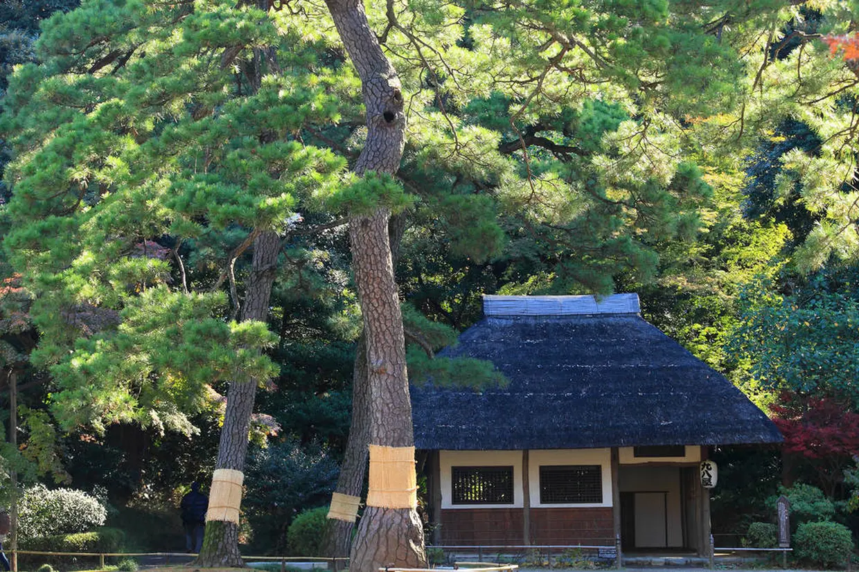 九八屋