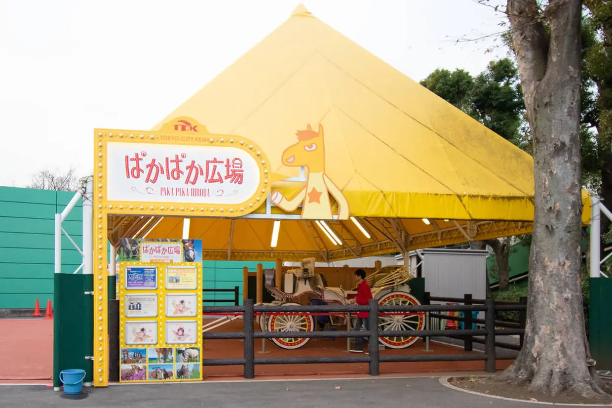 ぱかぱか広場