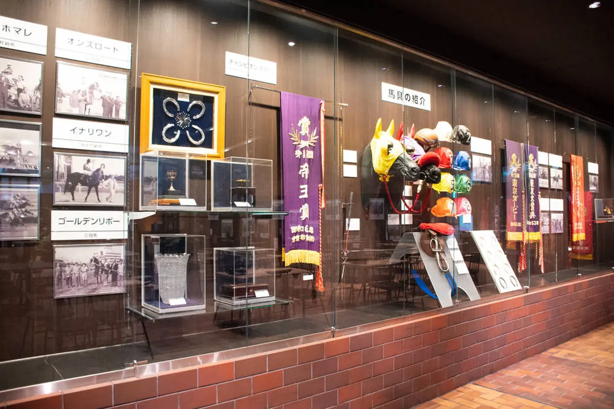 GALLERY of OWNER