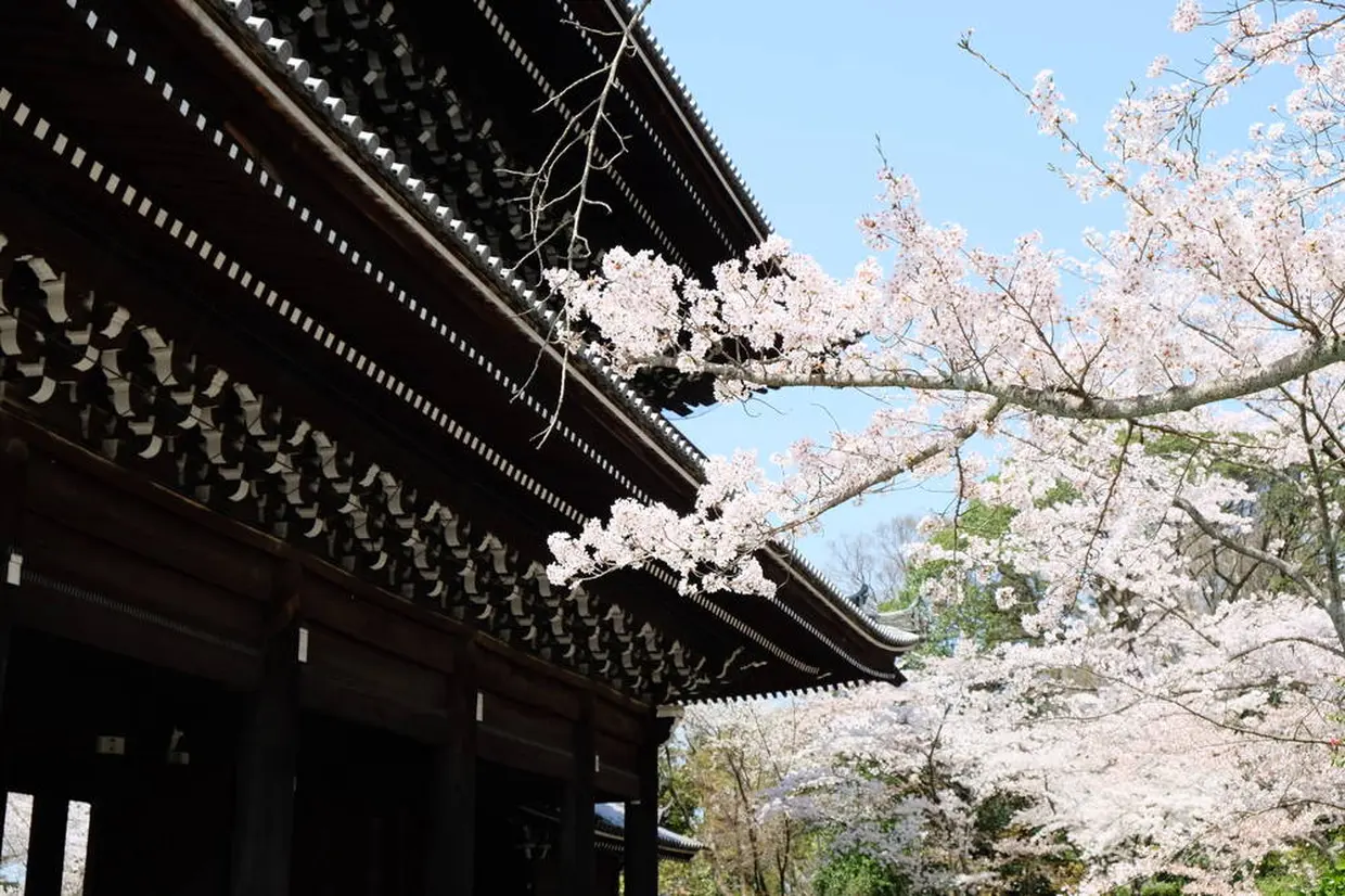 知恩院