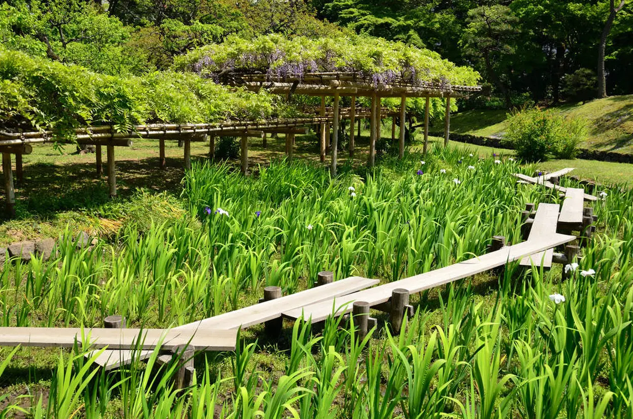 八ツ橋