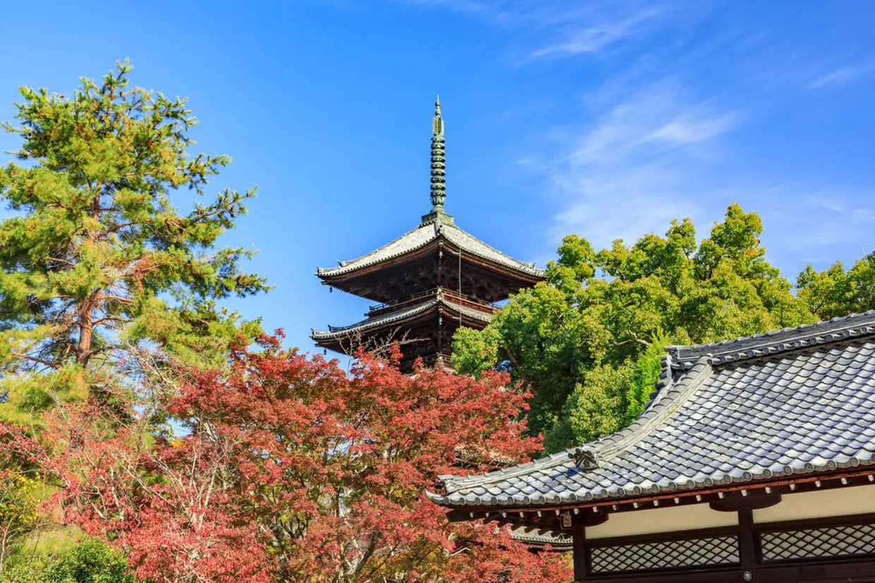 仁和寺