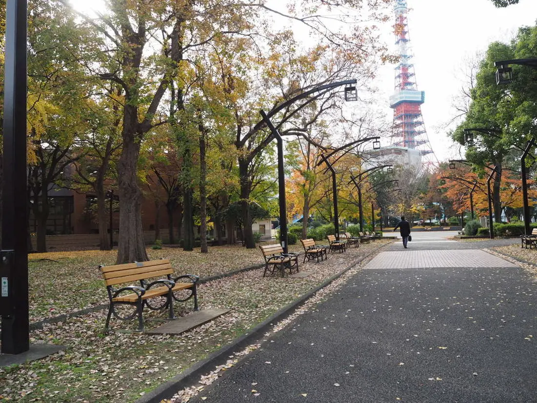 芝公園内の様子