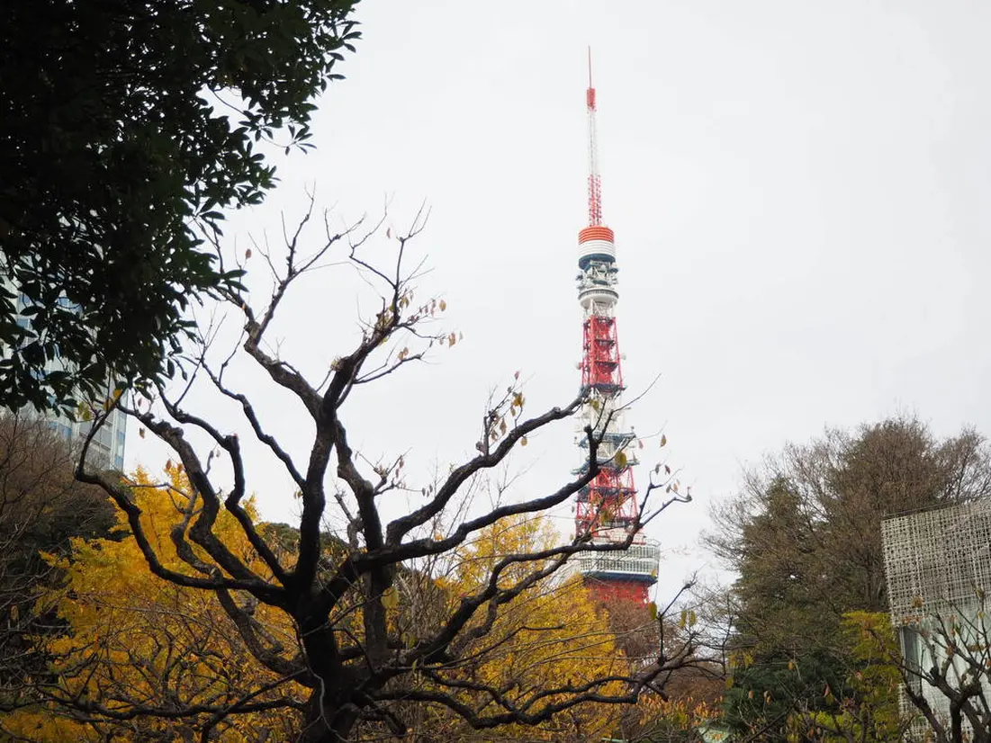 1号地から撮った写真