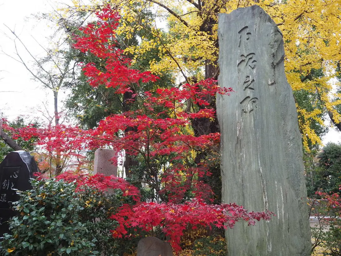 紅葉の様子
