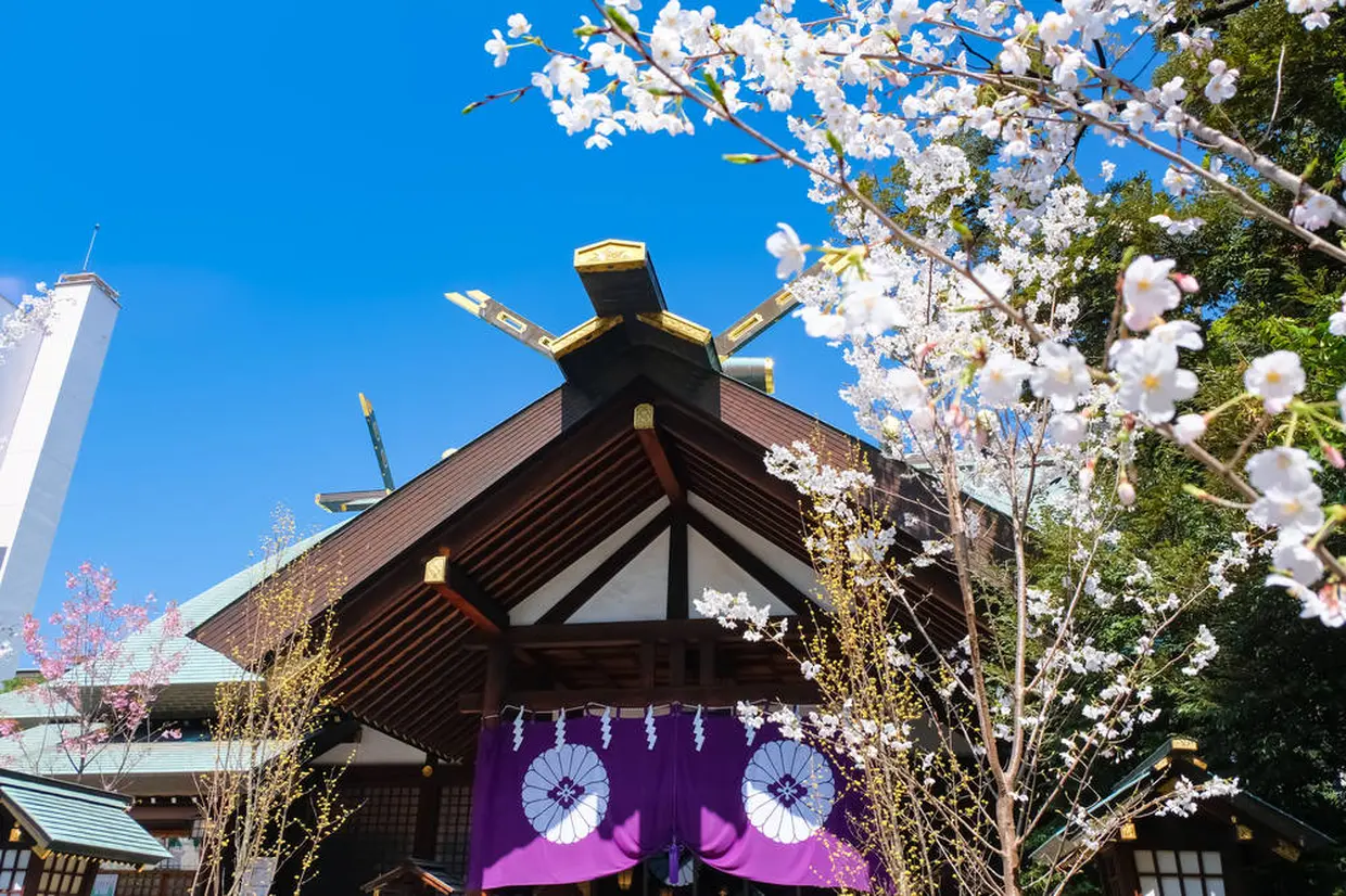 春の東京大神宮