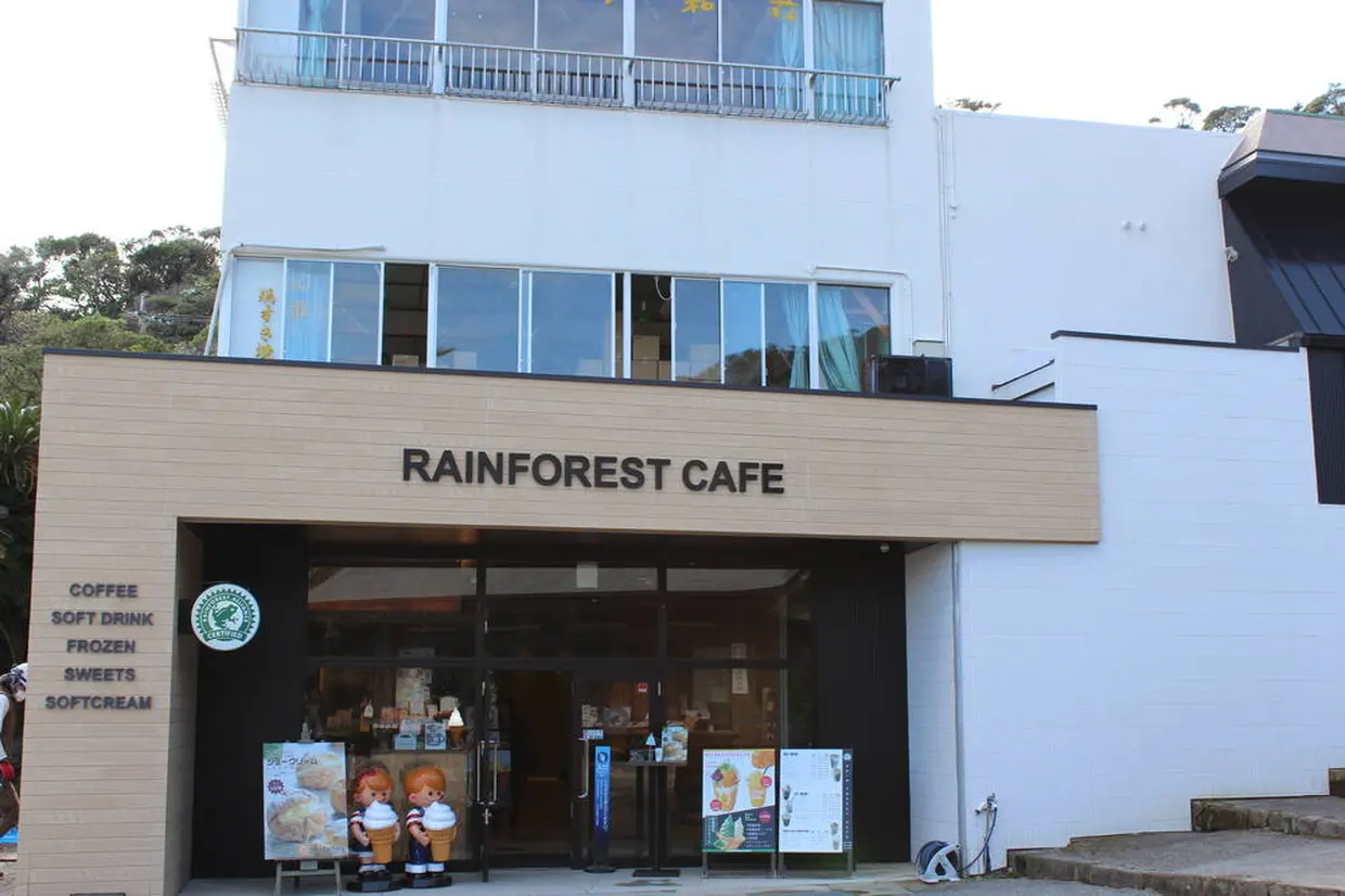 レインフォレストカフェ