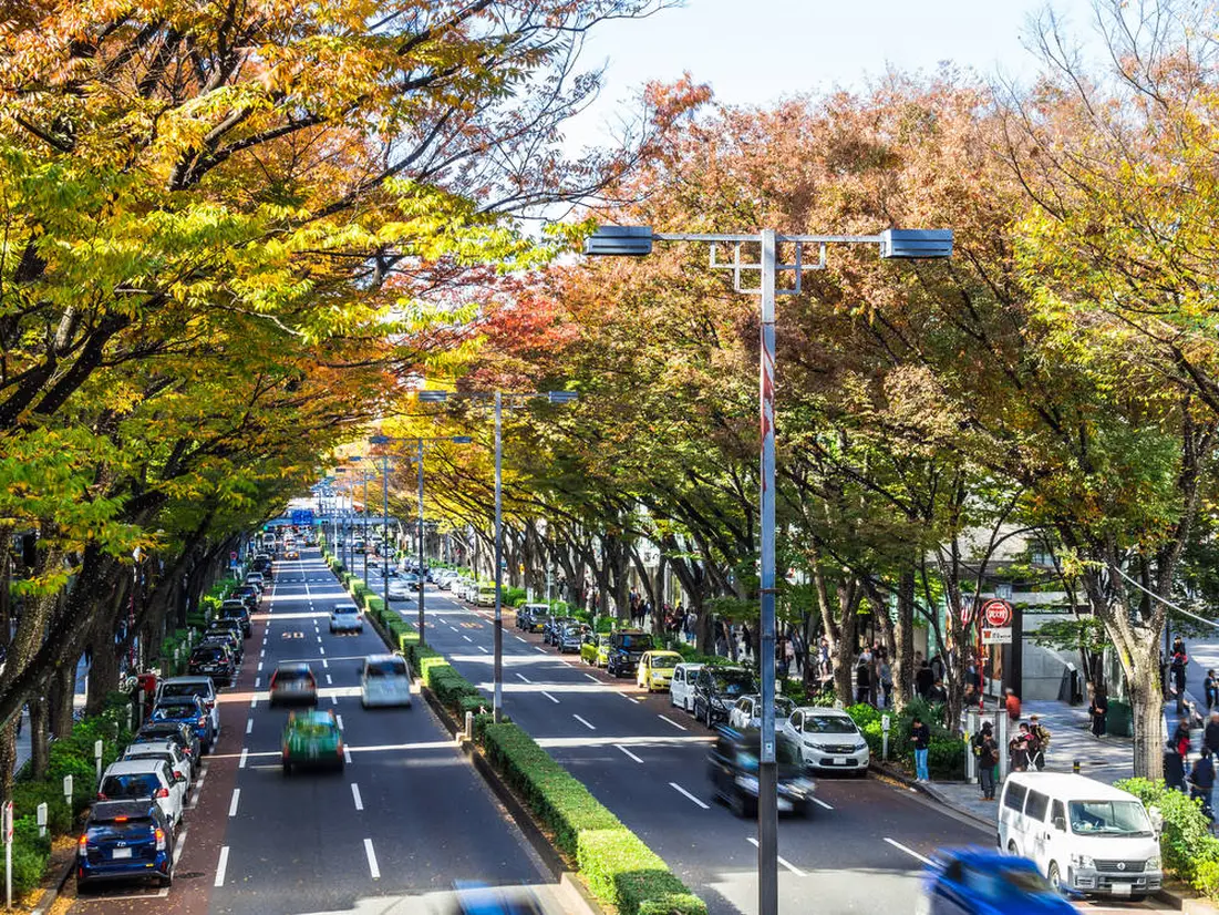 表参道