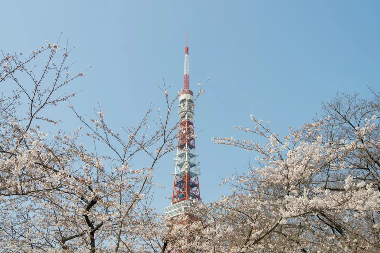 芝公園から見た東京タワー