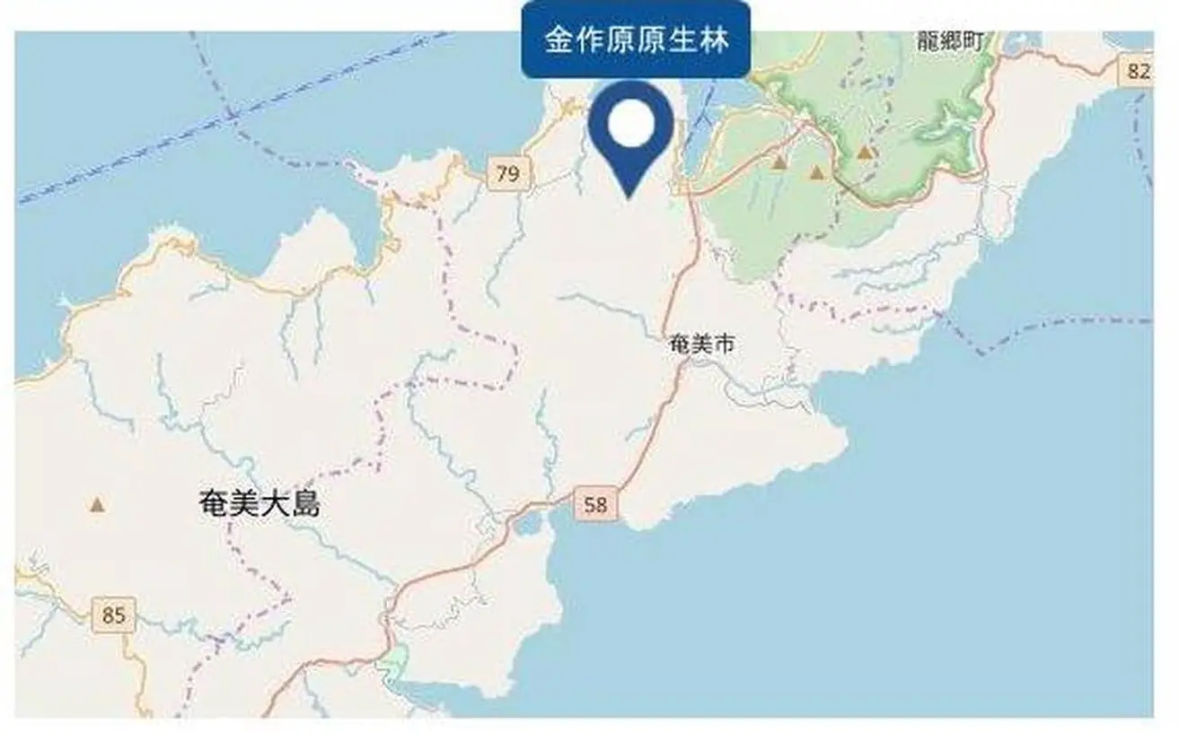 © OpenStreetMap contributors