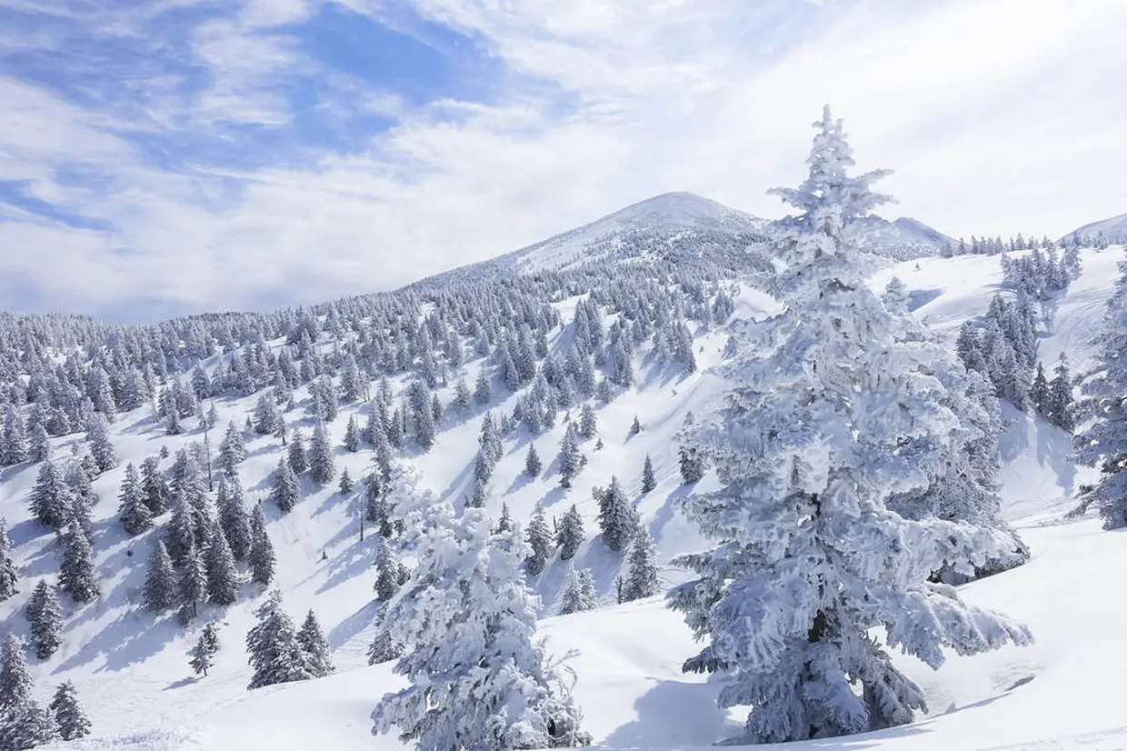 八甲田山