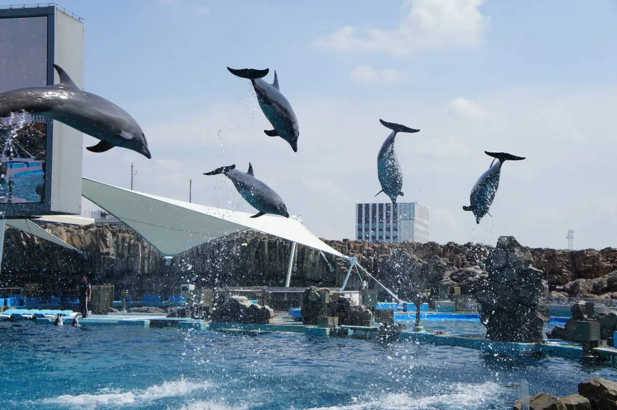 名古屋港水族館